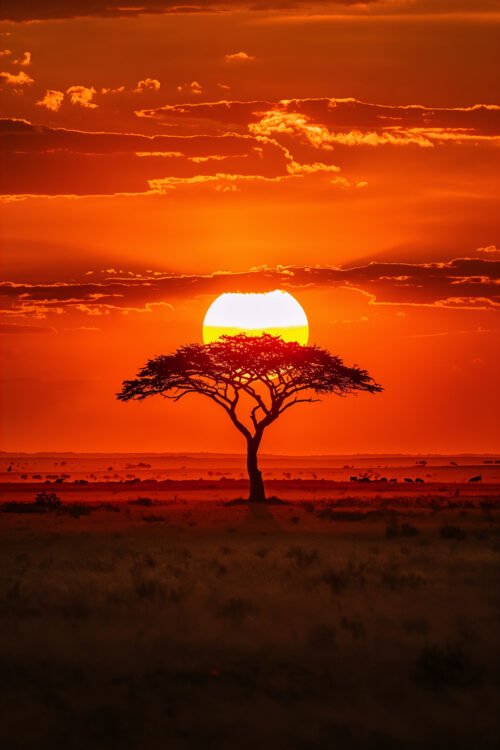 pastel mountain mist – nature poster (kopie)