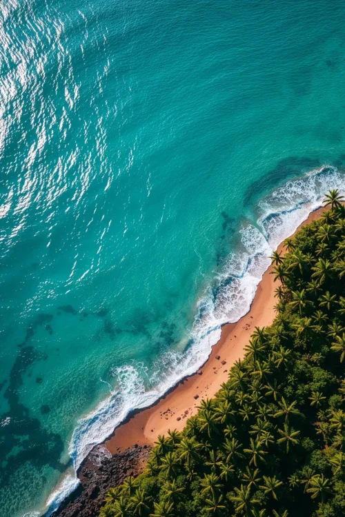 lush jungle river (kopie)